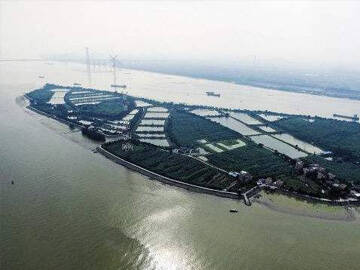 Guangzhou limanının Hongshengsha iskelesinin karbon fiberle güçlendirilmesi ve onarımı